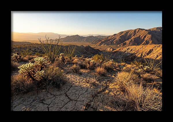 Anza Borrego Desert Serenity