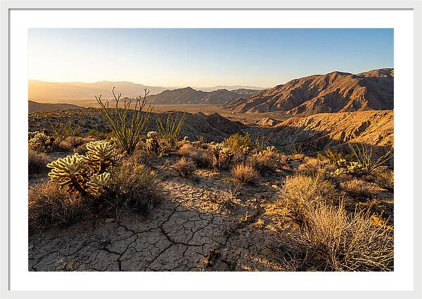 Anza Borrego Desert Serenity