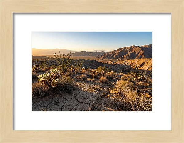 Anza Borrego Desert Serenity