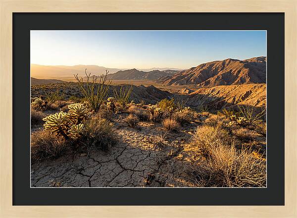Anza Borrego Desert Serenity