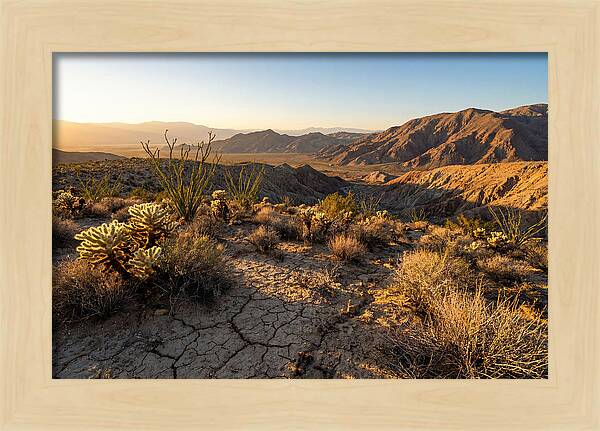 Anza Borrego Desert Serenity