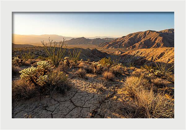 Anza Borrego Desert Serenity