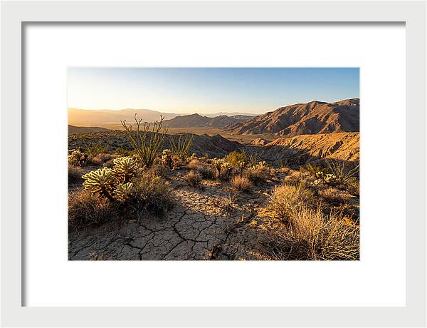 Anza Borrego Desert Serenity