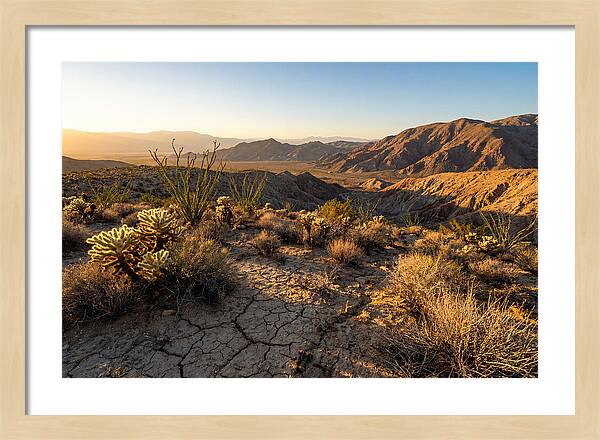 Anza Borrego Desert Serenity
