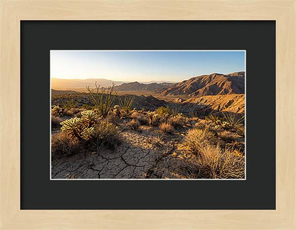 Anza Borrego Desert Serenity