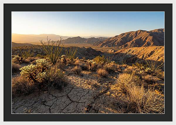 Anza Borrego Desert Serenity