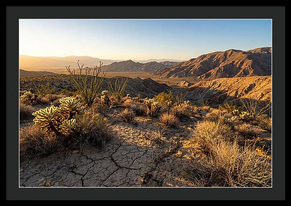 Anza Borrego Desert Serenity