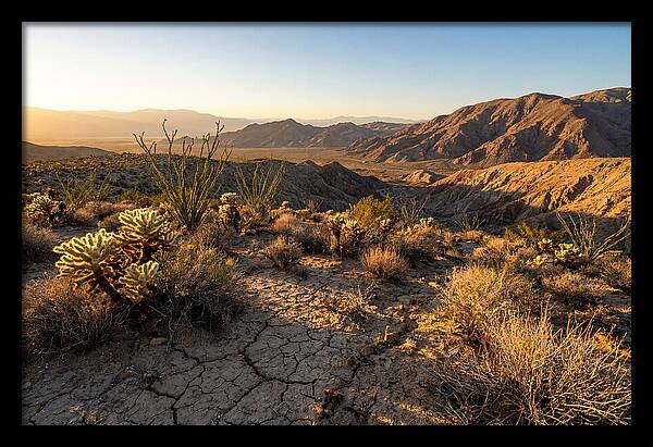 Anza Borrego Desert Serenity