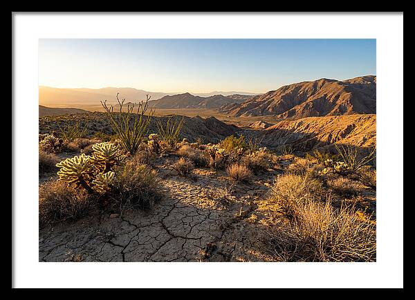 Anza Borrego Desert Serenity