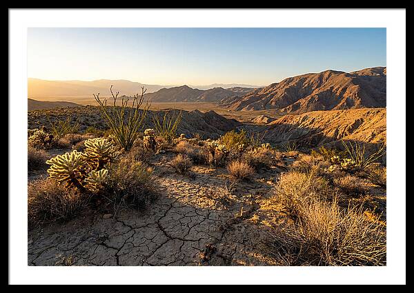 Anza Borrego Desert Serenity
