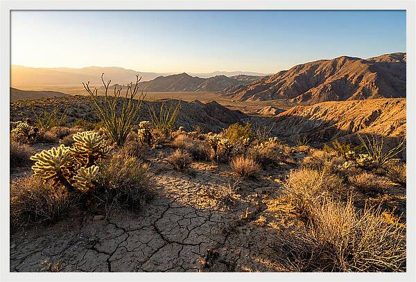 Anza Borrego Desert Serenity
