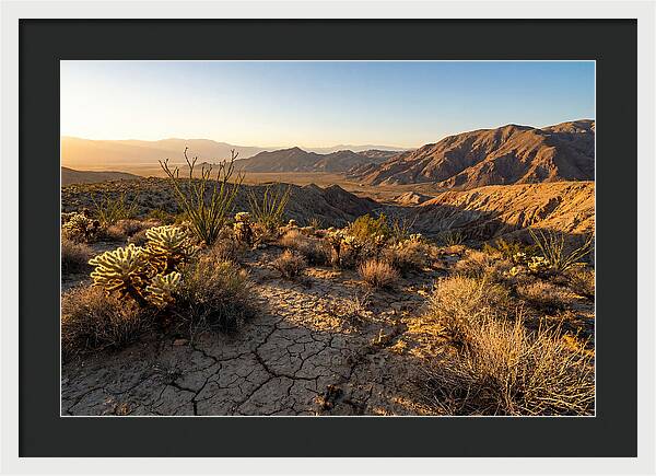 Anza Borrego Desert Serenity
