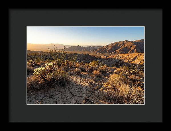 Anza Borrego Desert Serenity