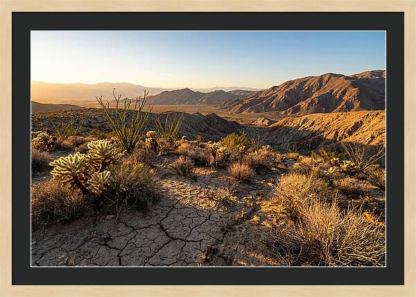 Anza Borrego Desert Serenity