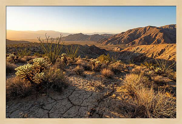 Anza Borrego Desert Serenity
