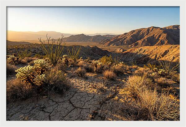 Anza Borrego Desert Serenity