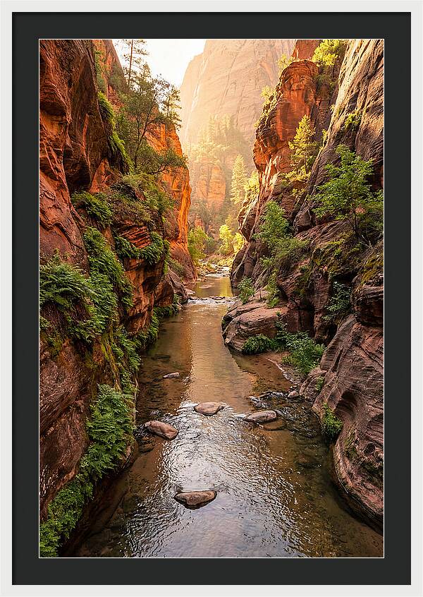 Apple River Canyon Serenity