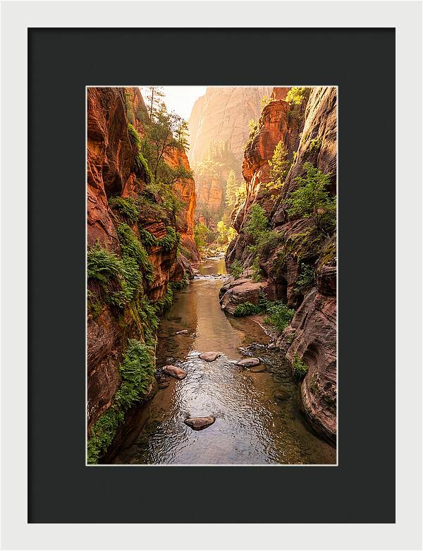 Apple River Canyon Serenity