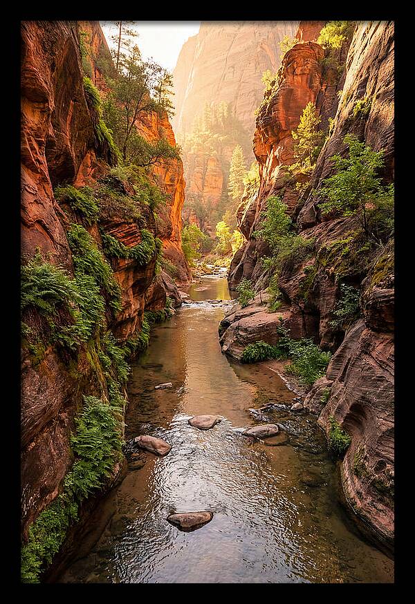 Apple River Canyon Serenity