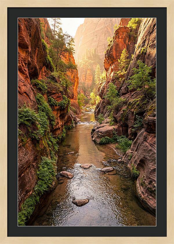 Apple River Canyon Serenity