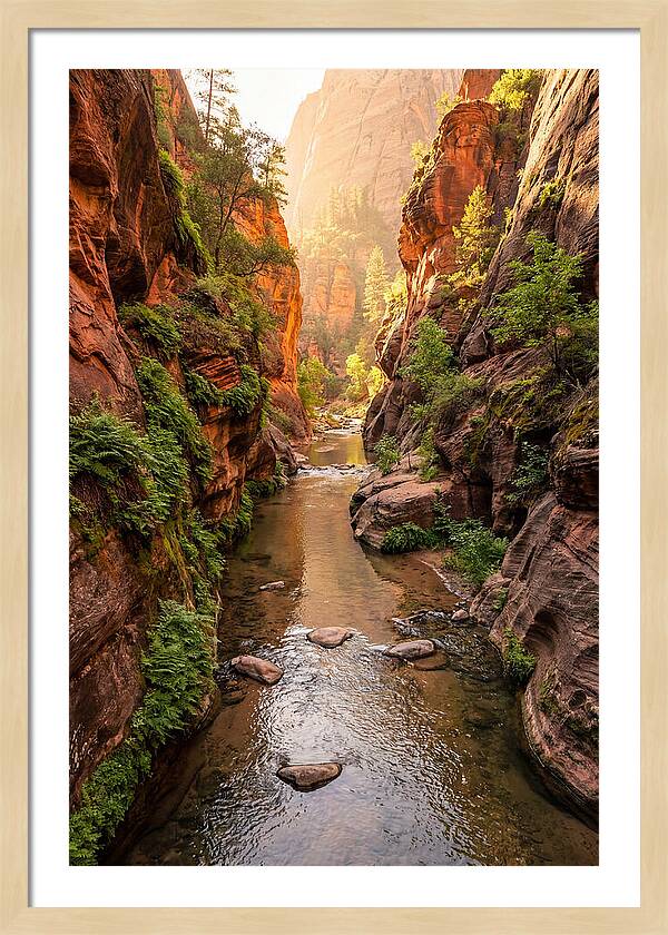 Apple River Canyon Serenity