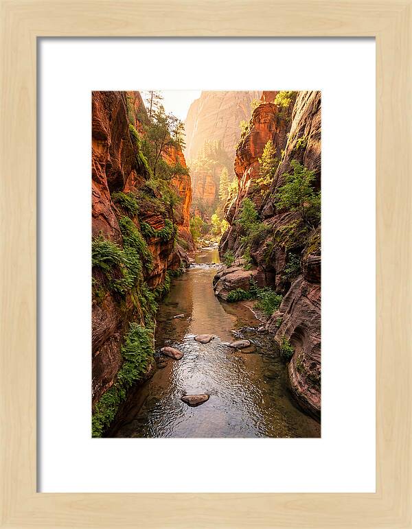 Apple River Canyon Serenity