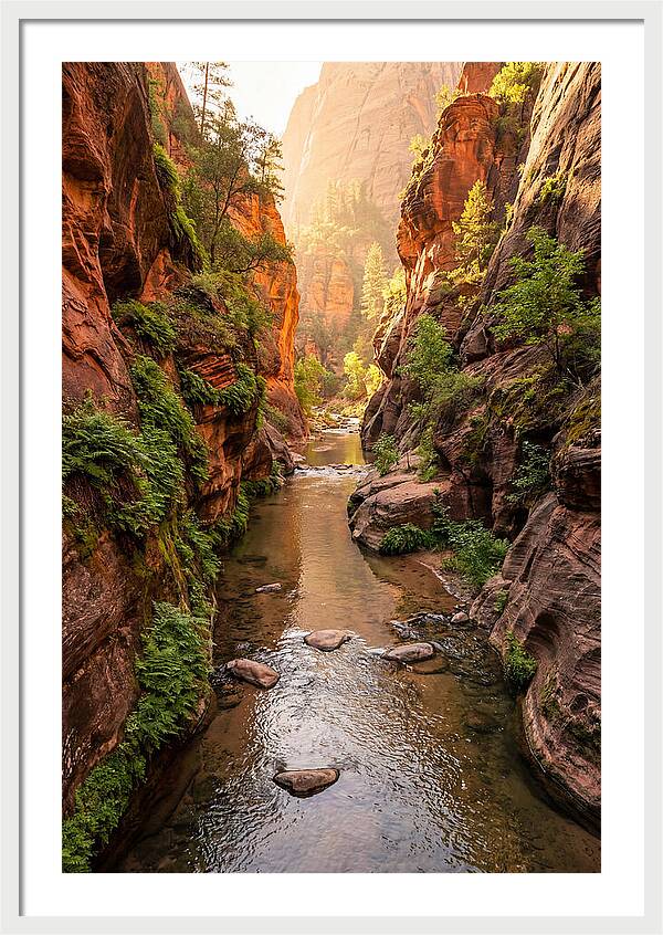 Apple River Canyon Serenity