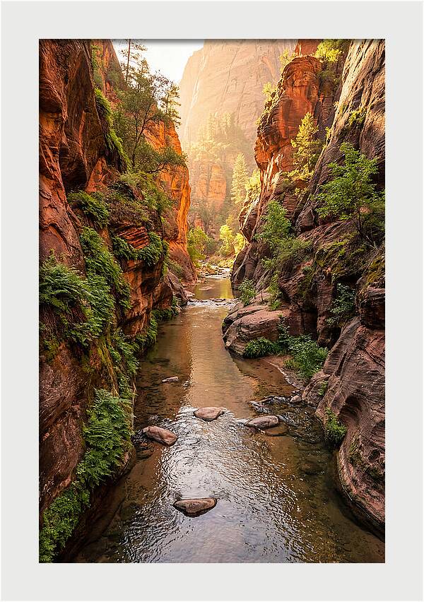 Apple River Canyon Serenity