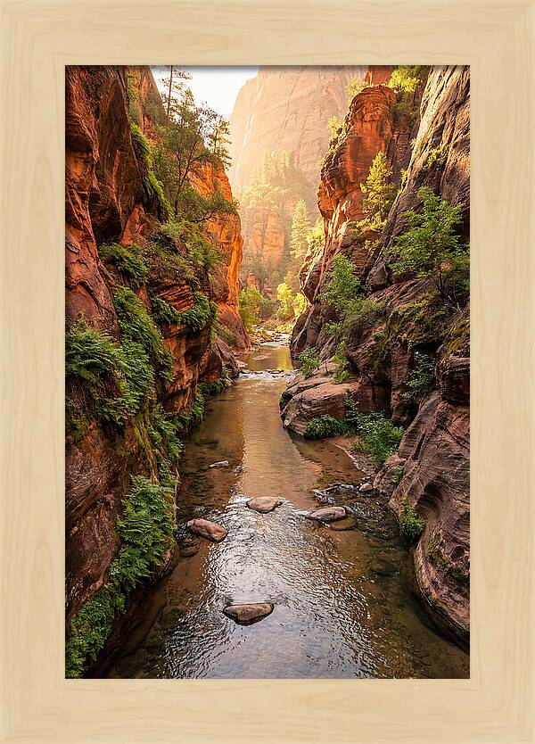 Apple River Canyon Serenity