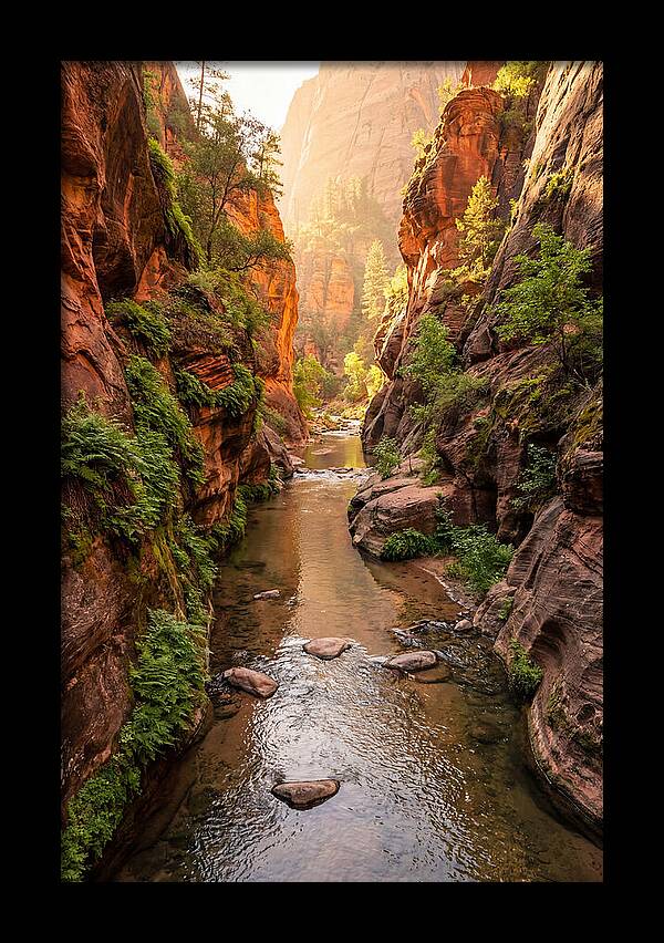 Apple River Canyon Serenity