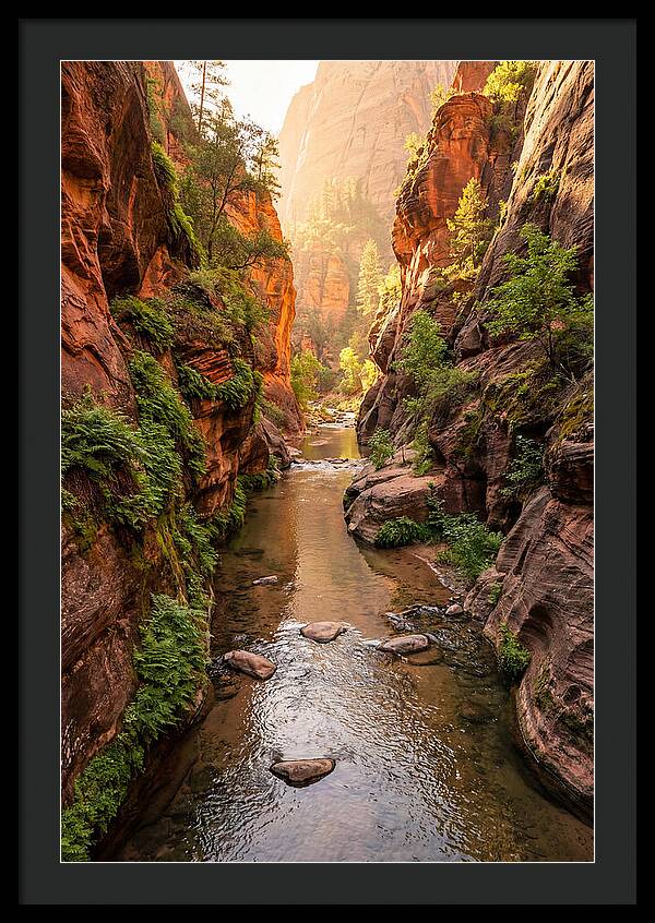 Apple River Canyon Serenity
