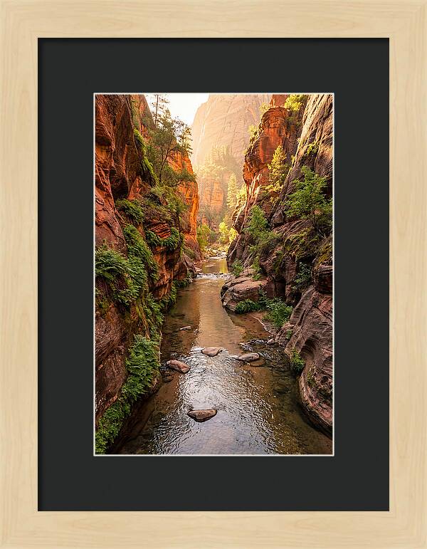 Apple River Canyon Serenity