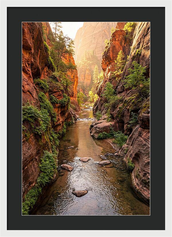 Apple River Canyon Serenity