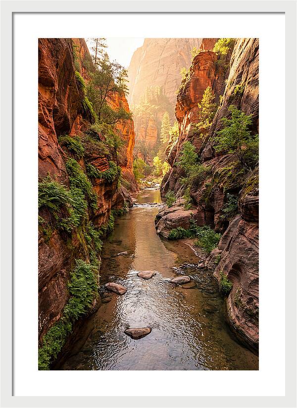 Apple River Canyon Serenity