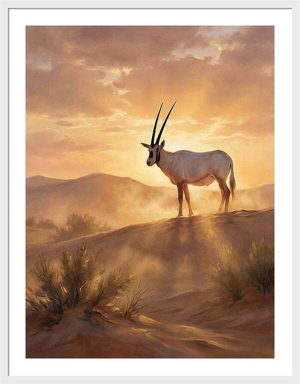 Arabian Oryx At Dusk