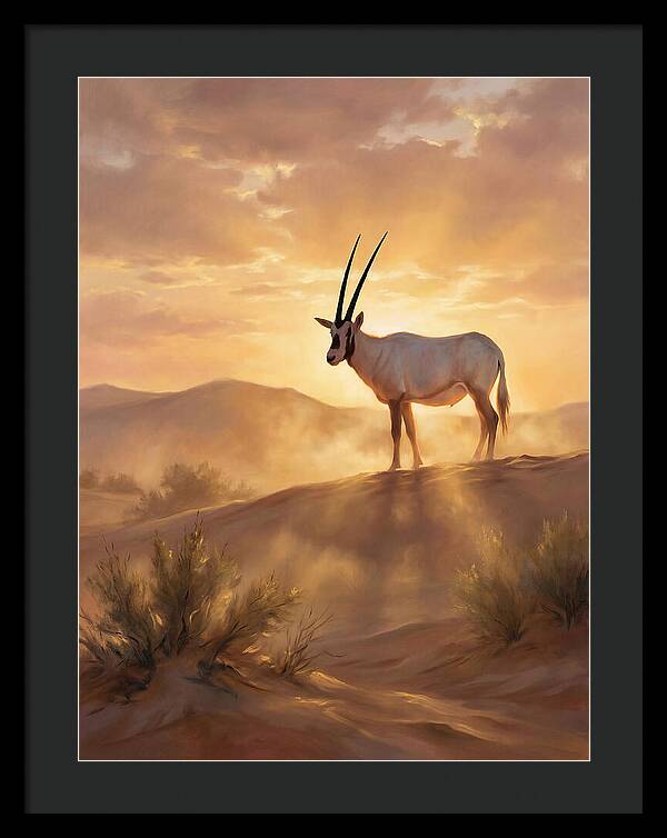 Arabian Oryx At Dusk
