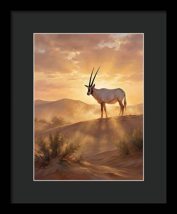 Arabian Oryx At Dusk
