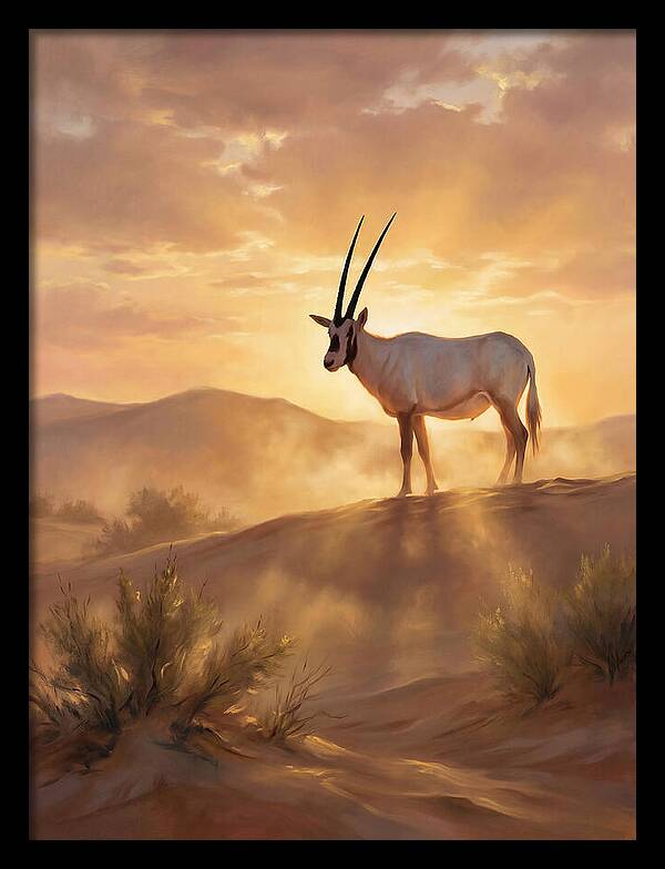 Arabian Oryx At Dusk