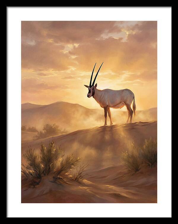 Arabian Oryx At Dusk