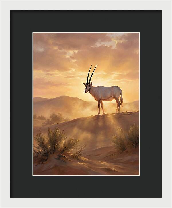 Arabian Oryx At Dusk