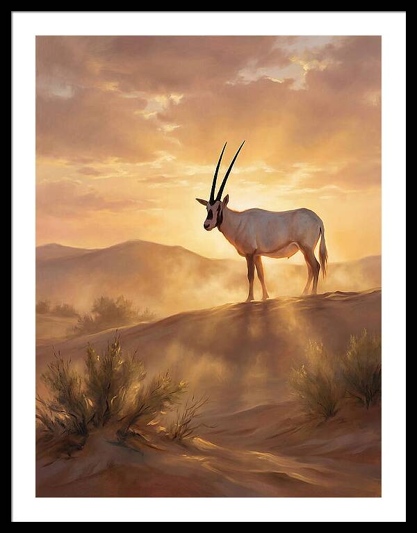 Arabian Oryx At Dusk