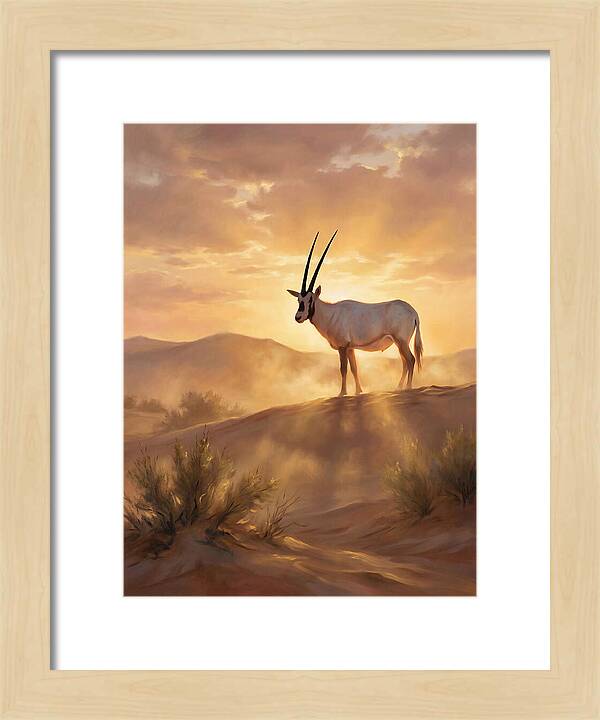 Arabian Oryx At Dusk