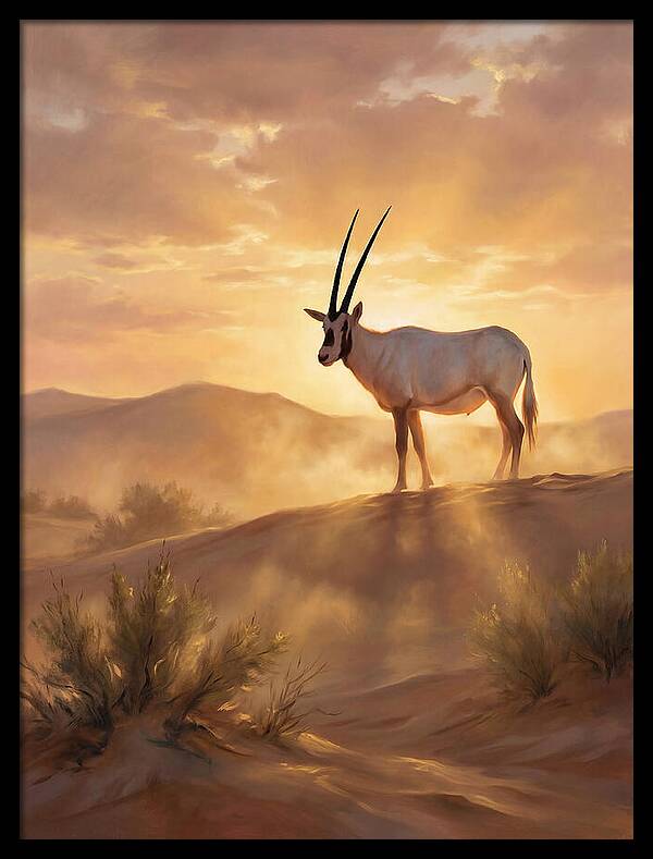 Arabian Oryx At Dusk