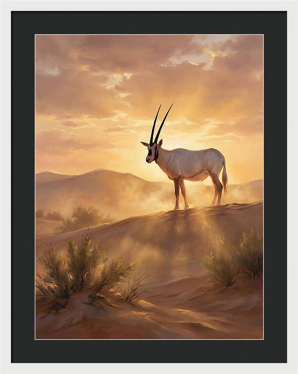 Arabian Oryx At Dusk