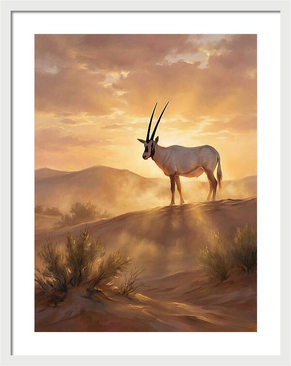 Arabian Oryx At Dusk