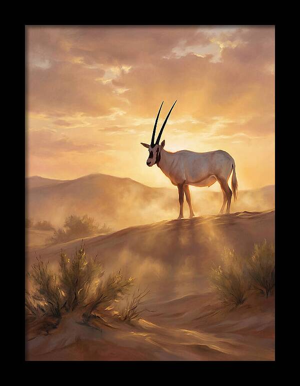 Arabian Oryx At Dusk