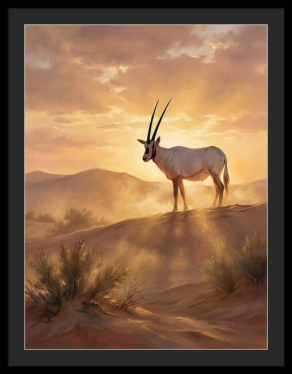 Arabian Oryx At Dusk