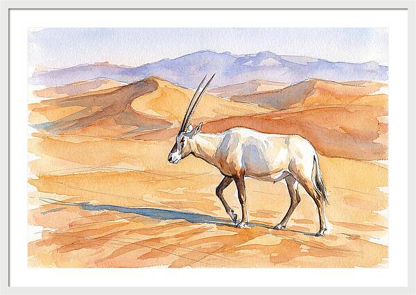 Arabian Oryx In Desert Landscape