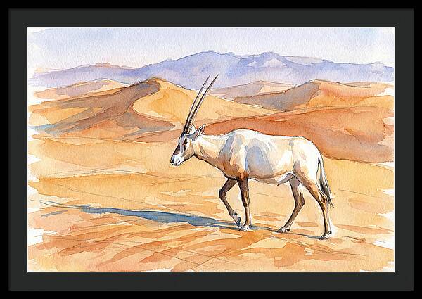 Arabian Oryx In Desert Landscape