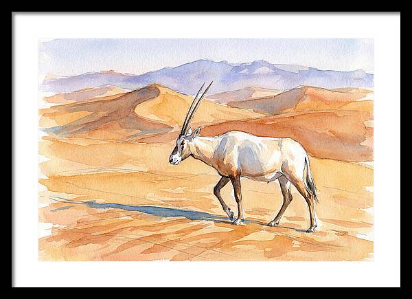 Arabian Oryx In Desert Landscape